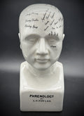 Vintage Antique Phrenology Head Bust Ceramic Medical Oddity Psychology Science