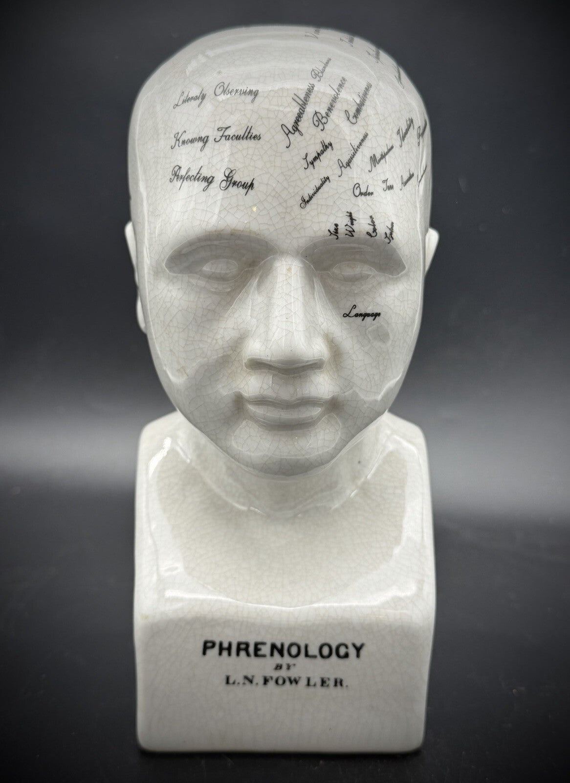 Vintage Antique Phrenology Head Bust Ceramic Medical Oddity Psychology Science