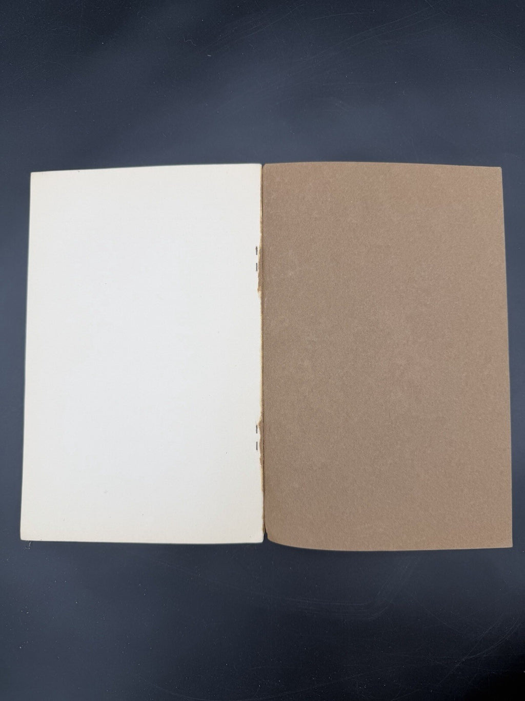 1903 John Michael Maisch An Ideal Pharmacist M I Wilbert Pamphlet Offprint Bio