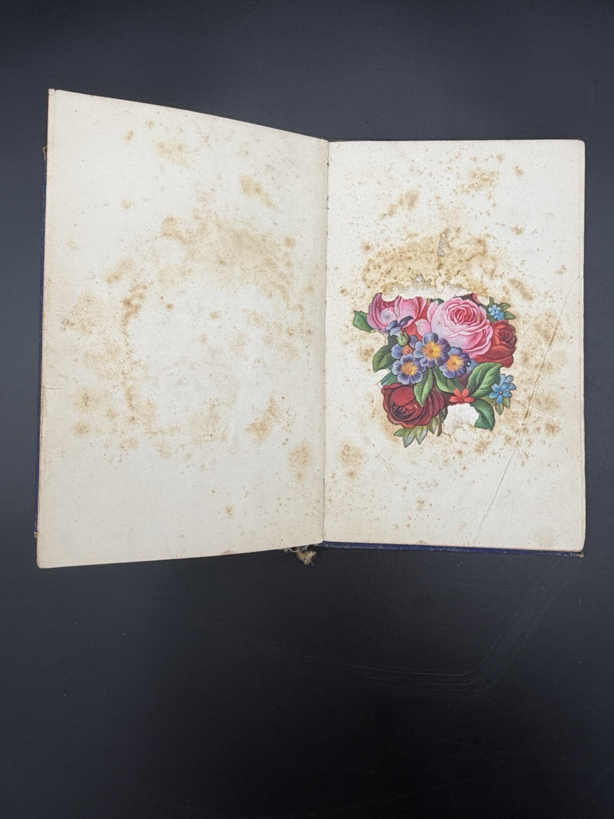 Bluff Crag Or A Good Word Costs Nothing 1877 T Nelson And Sons Victorian