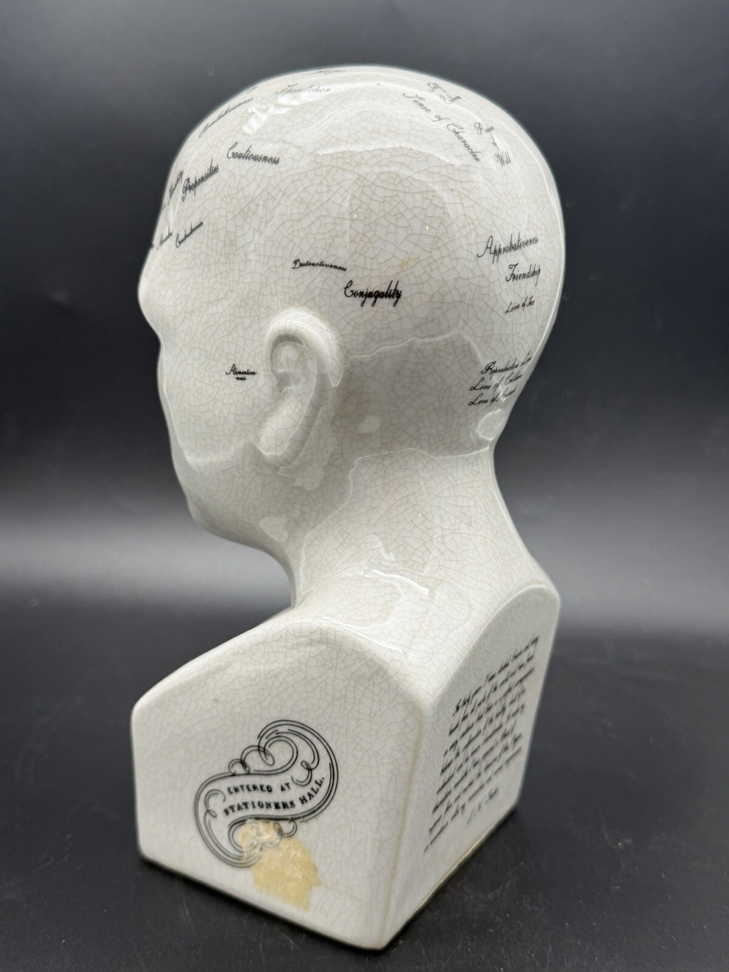 Vintage Antique Phrenology Head Bust Ceramic Medical Oddity Psychology Science