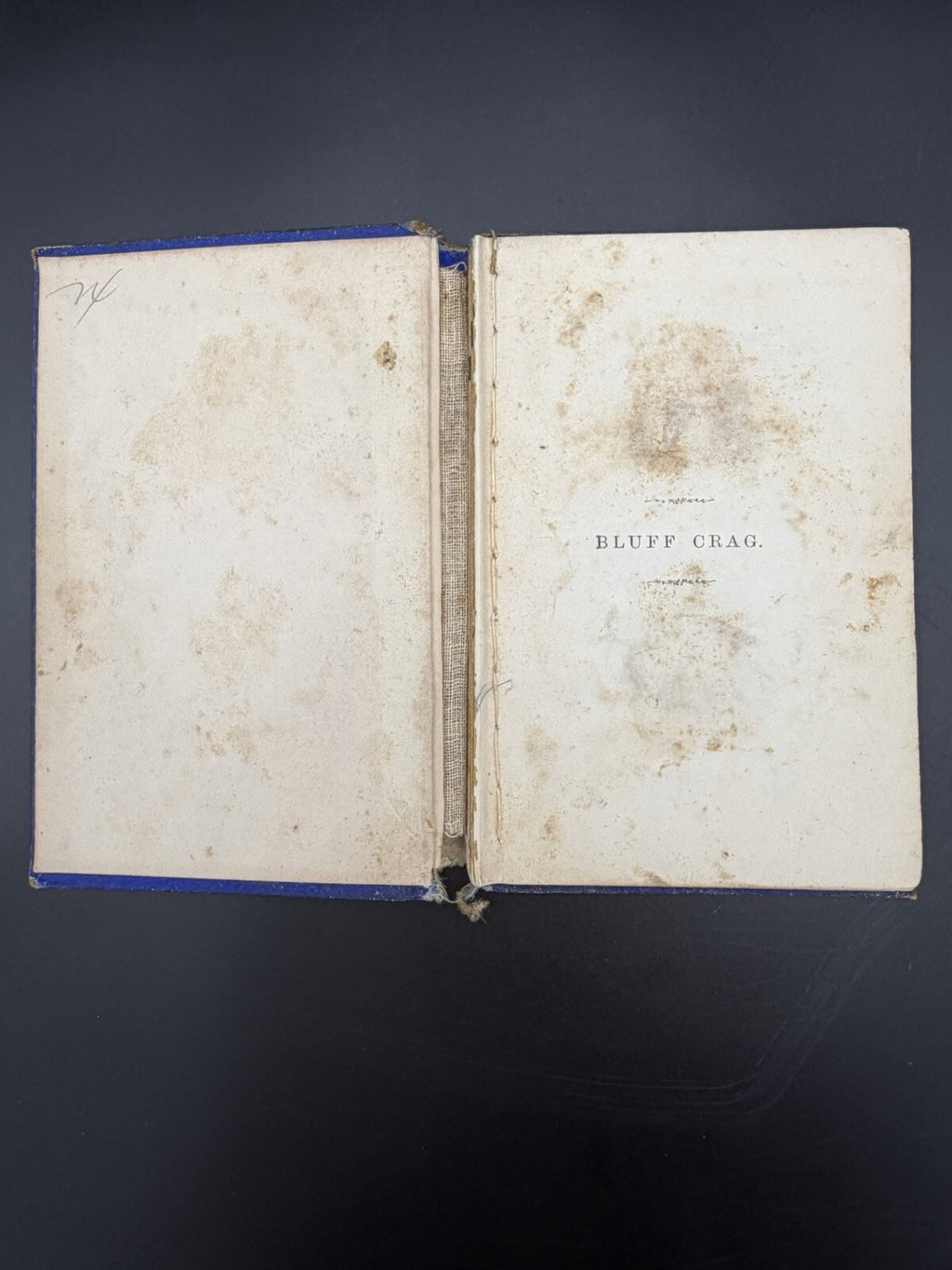 Bluff Crag Or A Good Word Costs Nothing 1877 T Nelson And Sons Victorian