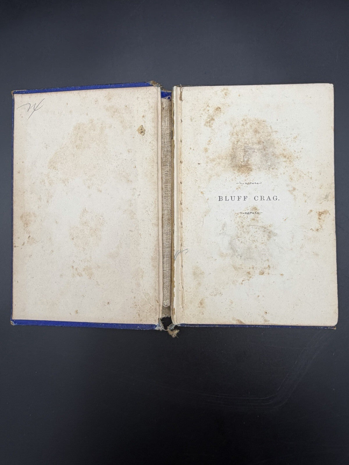 Bluff Crag Or A Good Word Costs Nothing 1877 T Nelson And Sons Victorian