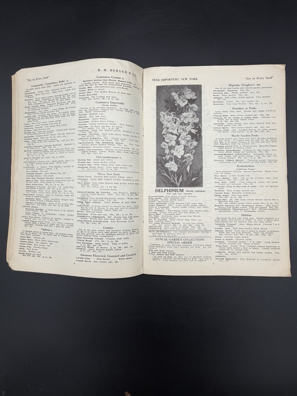 1925 H.H. Berger & Co Spring Garden Seed and Bulb Catalogue New York Rare