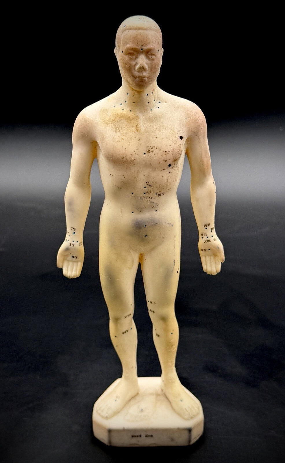 Vintage Tam's Tong Ren Acupuncture Model Human Figure 10 Inch TCM Reference Old