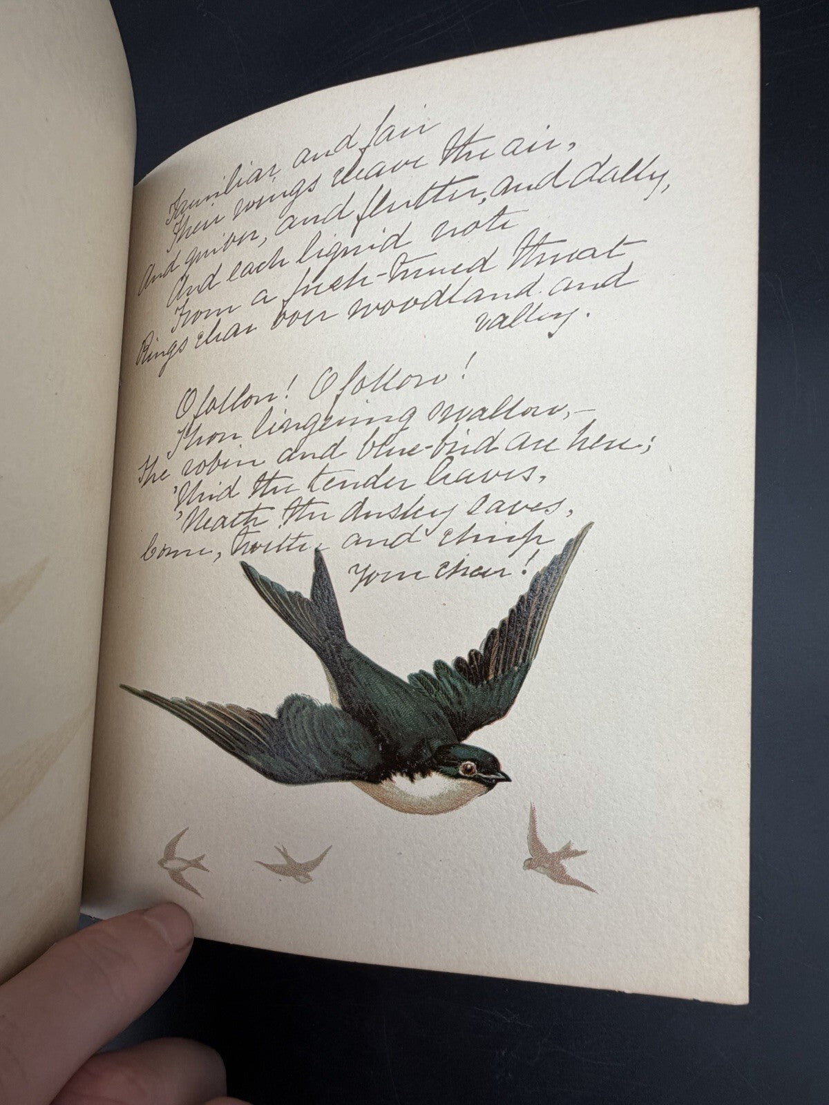 The Coming of the Birds Elaine Goodale Facsimile Sig Alexander Pope Antique Book