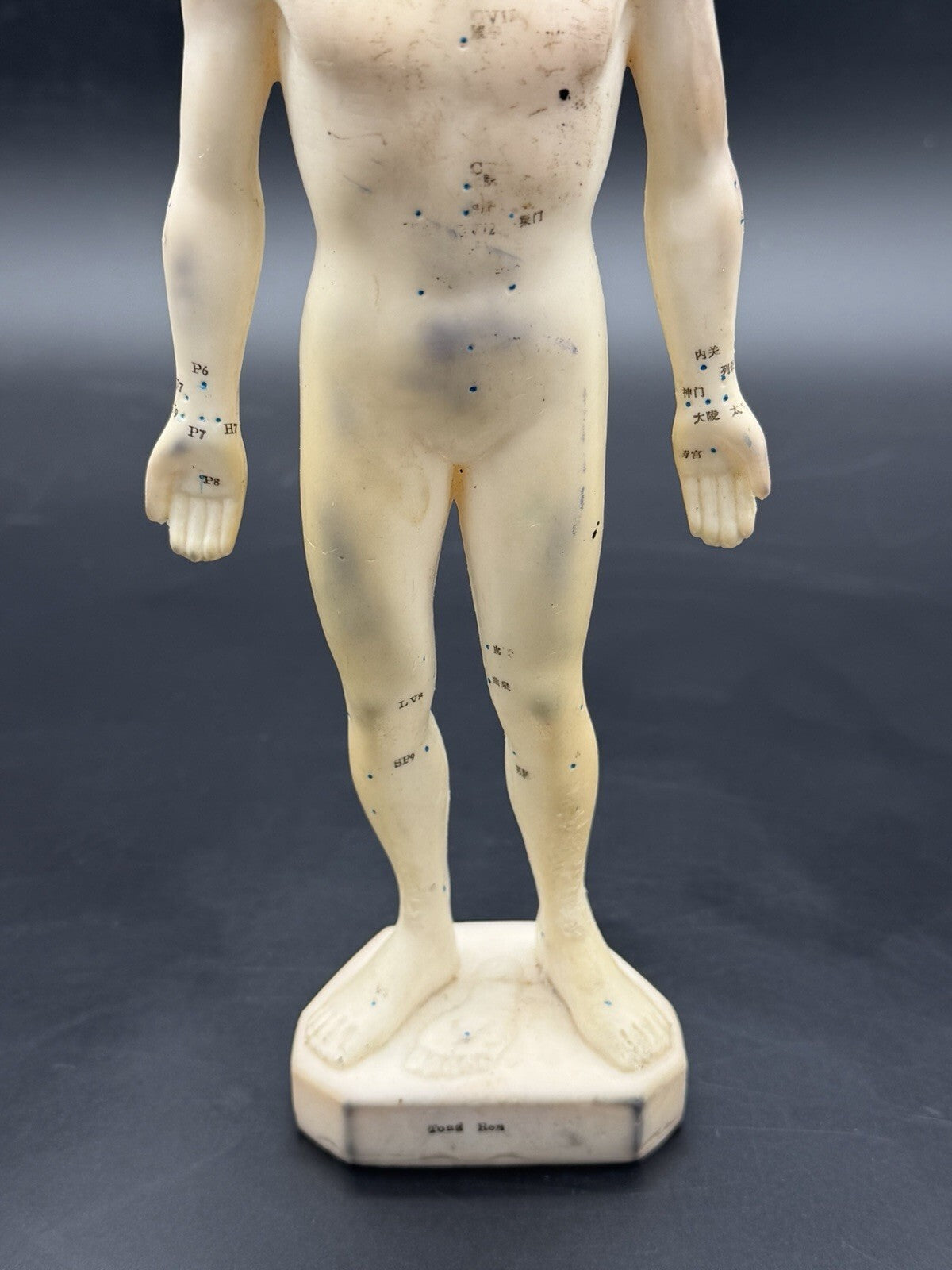 Vintage Tam's Tong Ren Acupuncture Model Human Figure 10 Inch TCM Reference Old