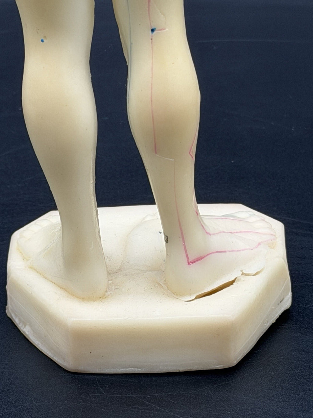 Vintage Tam's Tong Ren Acupuncture Model Human Figure 10 Inch TCM Reference