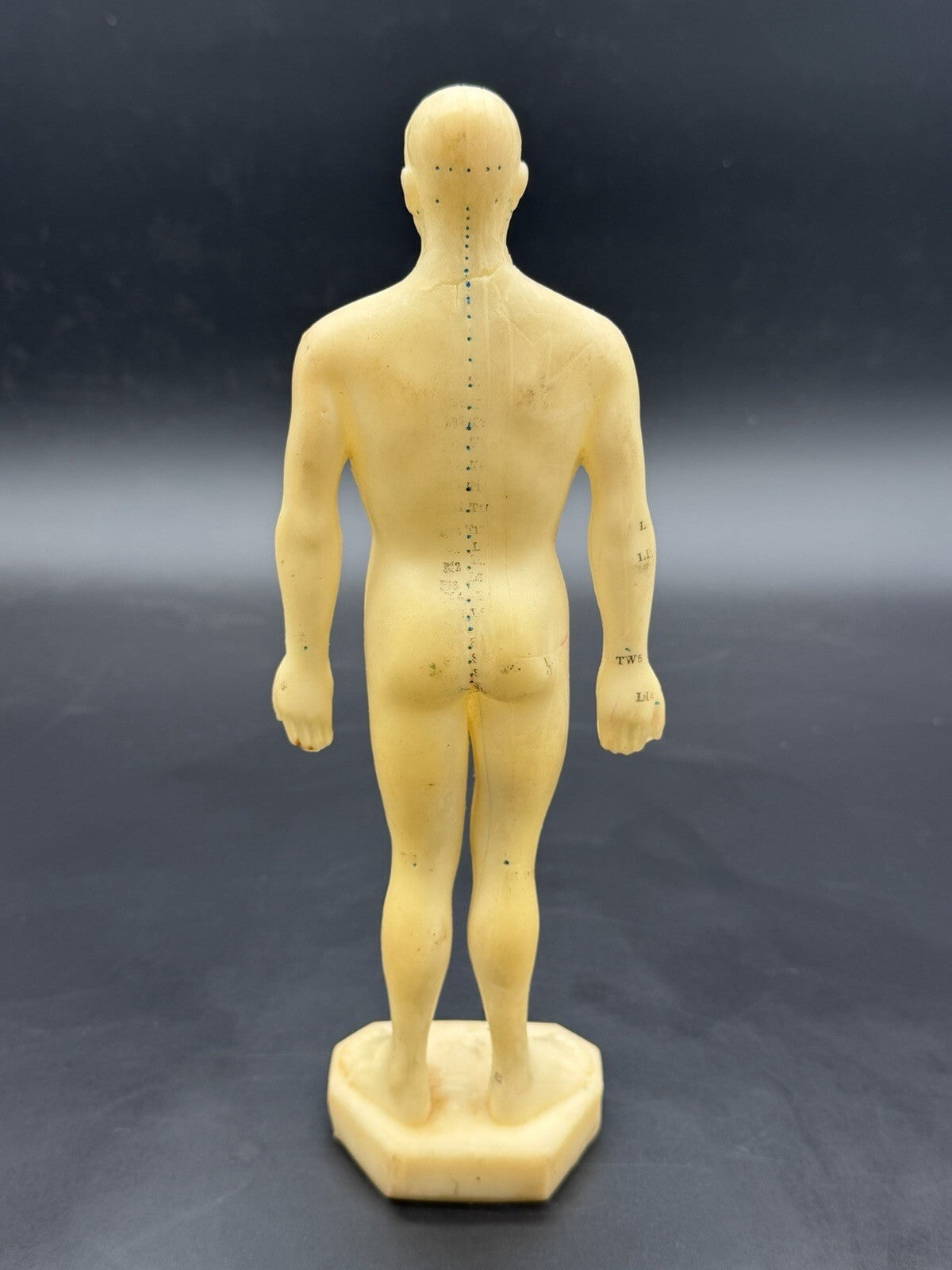Tam's Tong Ren Acupuncture Model Human Figure 10 Inch TCM Reference Medical