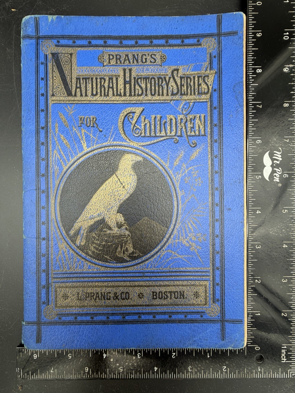 1878 Prang's Natural History Series Children Birds Of Prey Antique Color Book⁠
