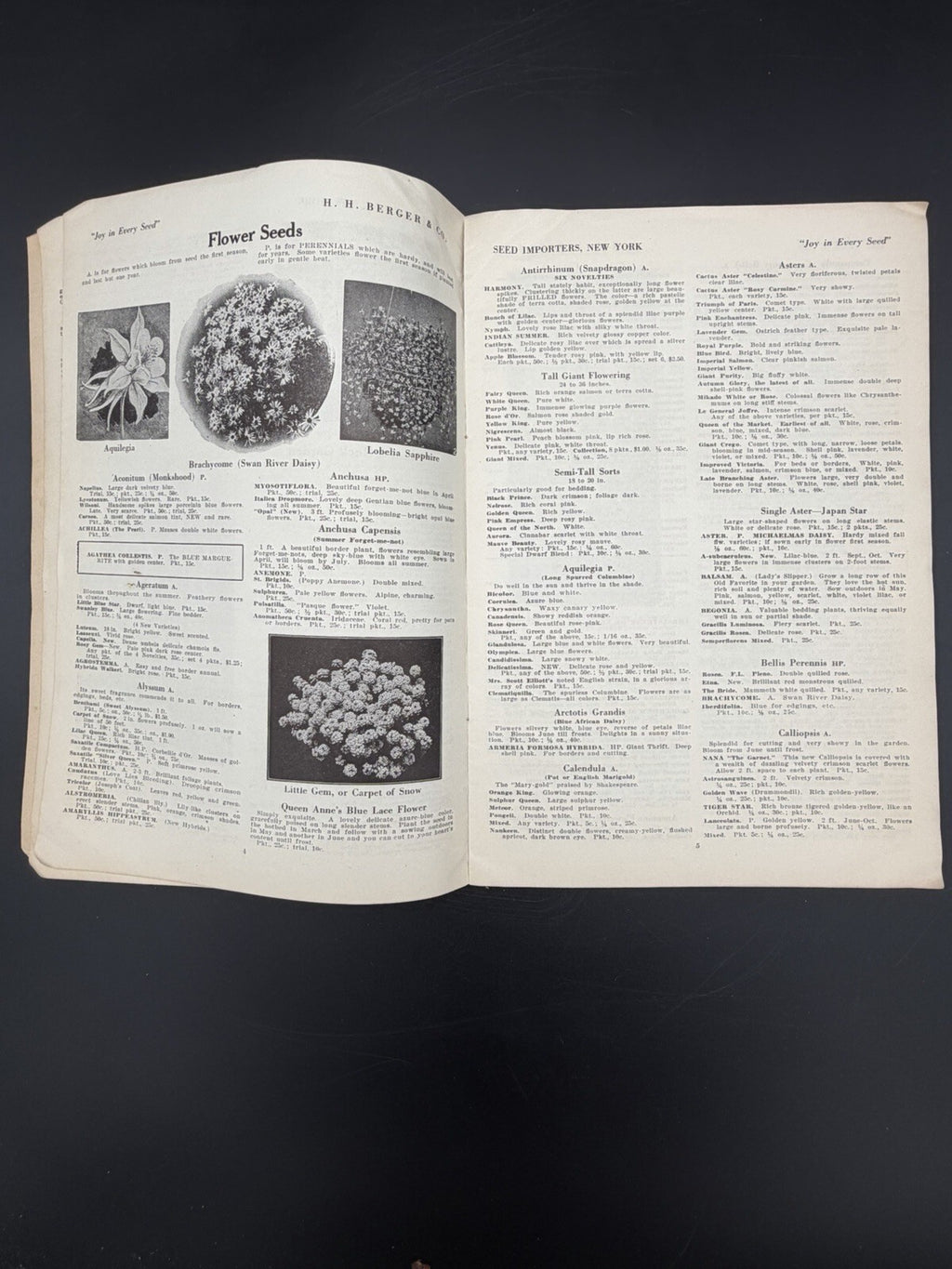 1925 H.H. Berger & Co Spring Garden Seed and Bulb Catalogue New York Rare