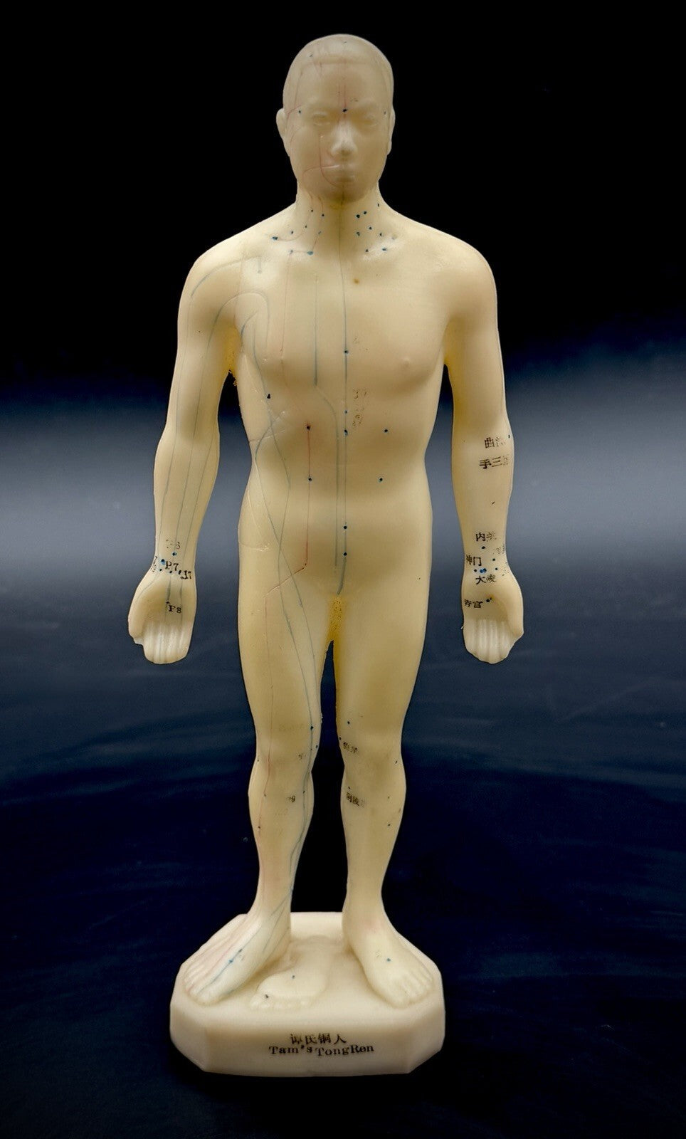 Vintage Tam's Tong Ren Acupuncture Model Human Figure 10 Inch TCM Reference