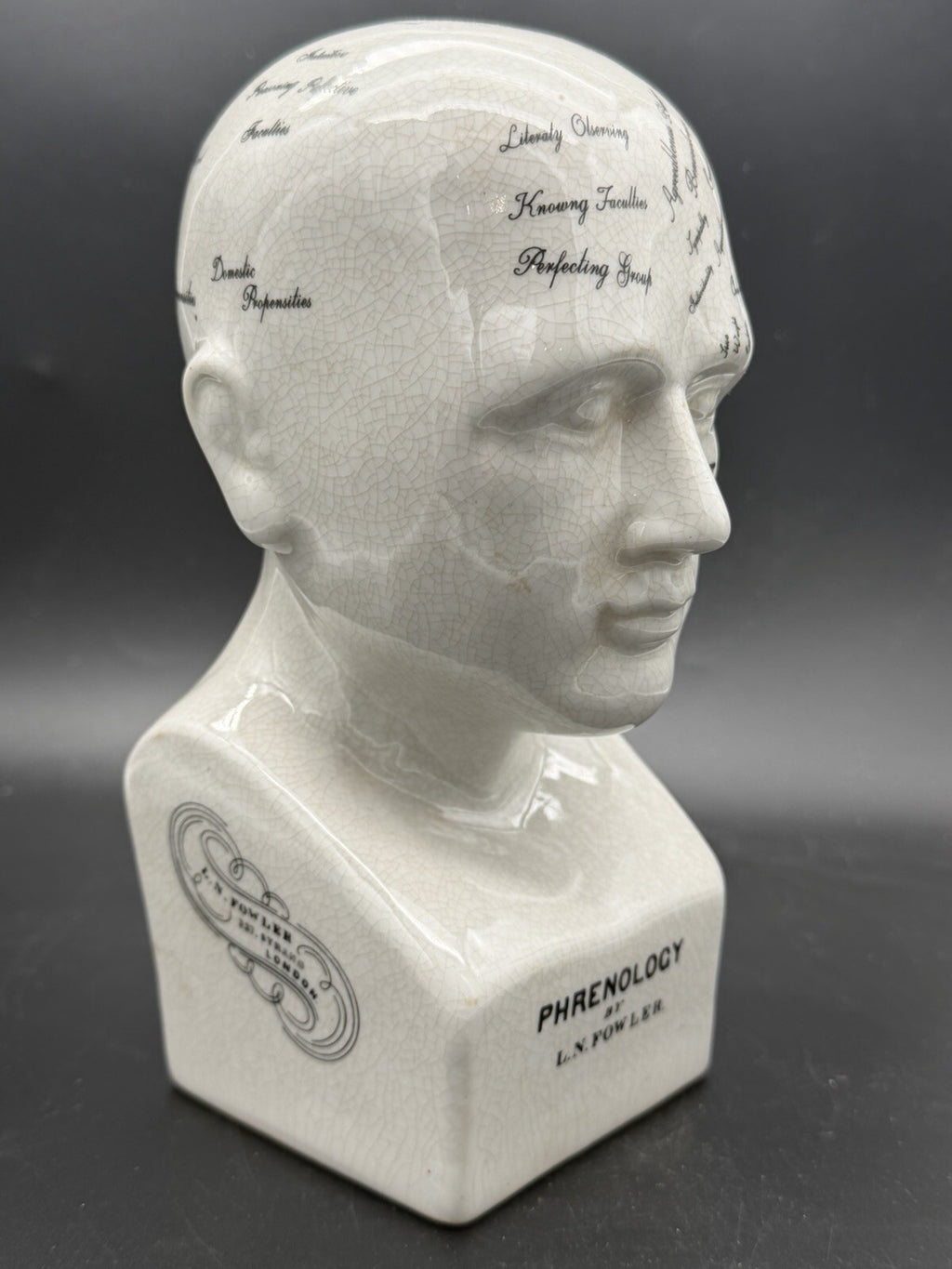 Vintage Antique Phrenology Head Bust Ceramic Medical Oddity Psychology Science