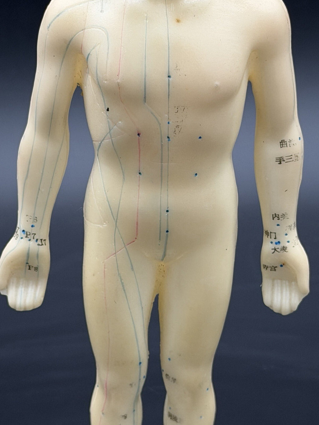Vintage Tam's Tong Ren Acupuncture Model Human Figure 10 Inch TCM Reference