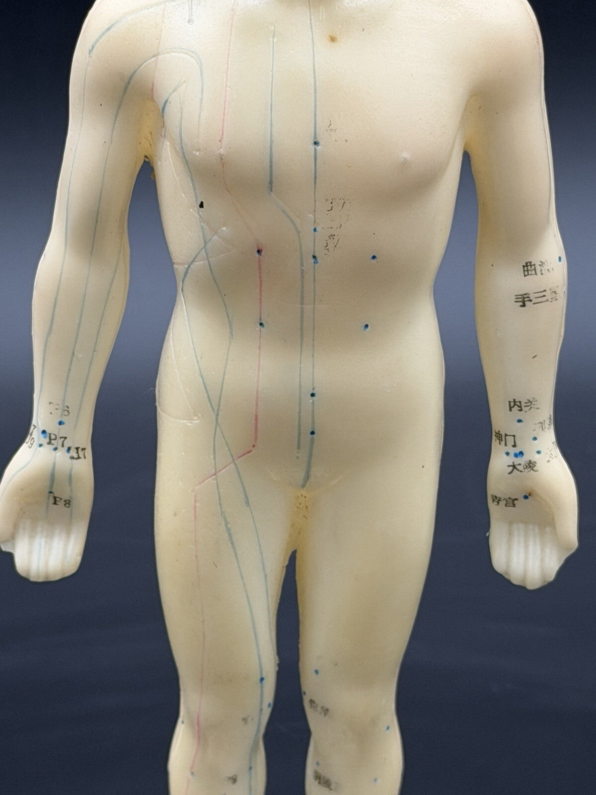 Vintage Tam's Tong Ren Acupuncture Model Human Figure 10 Inch TCM Reference