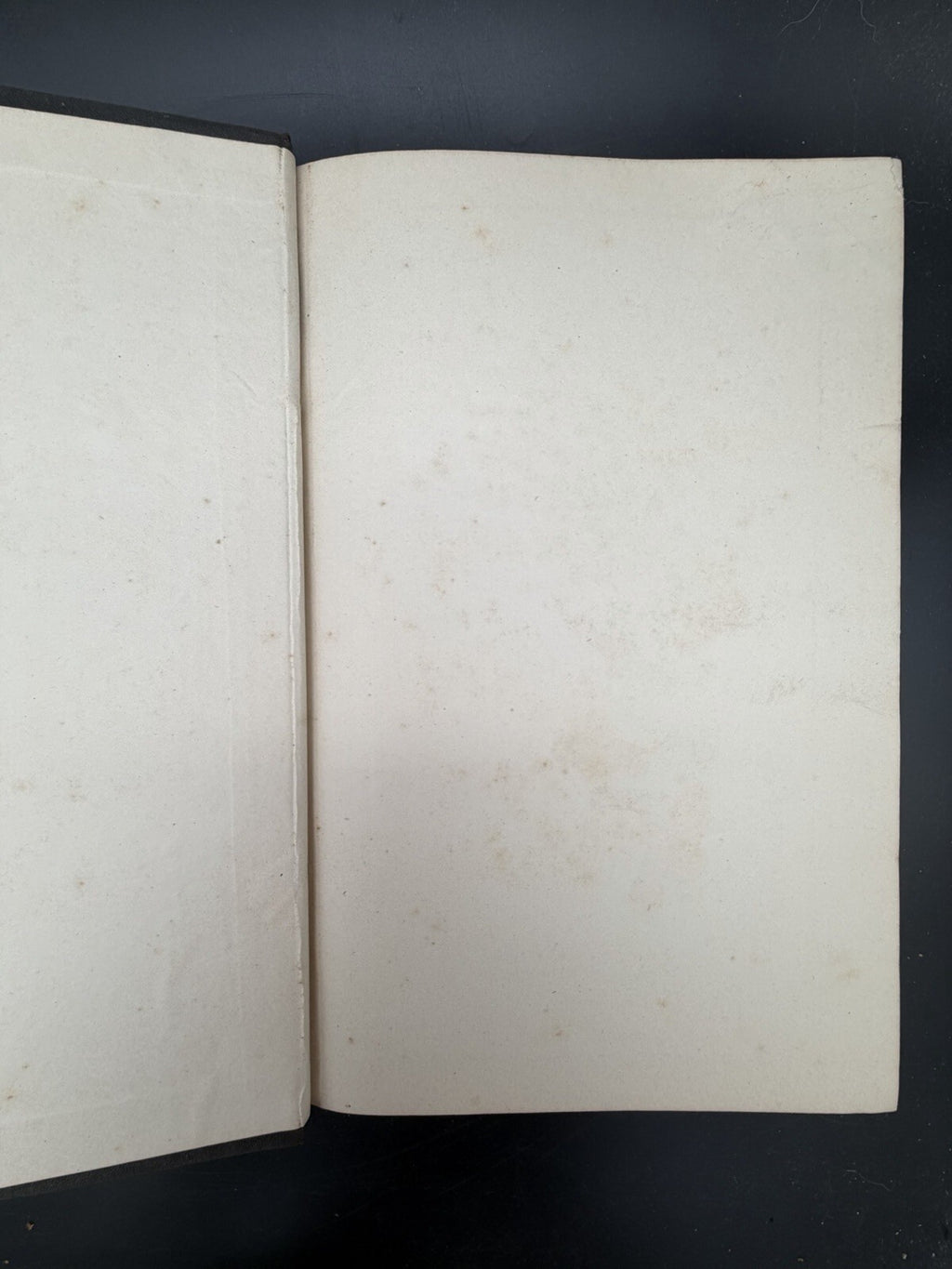 US Department of Agriculture Diseases of The Horse 1890 illustrated