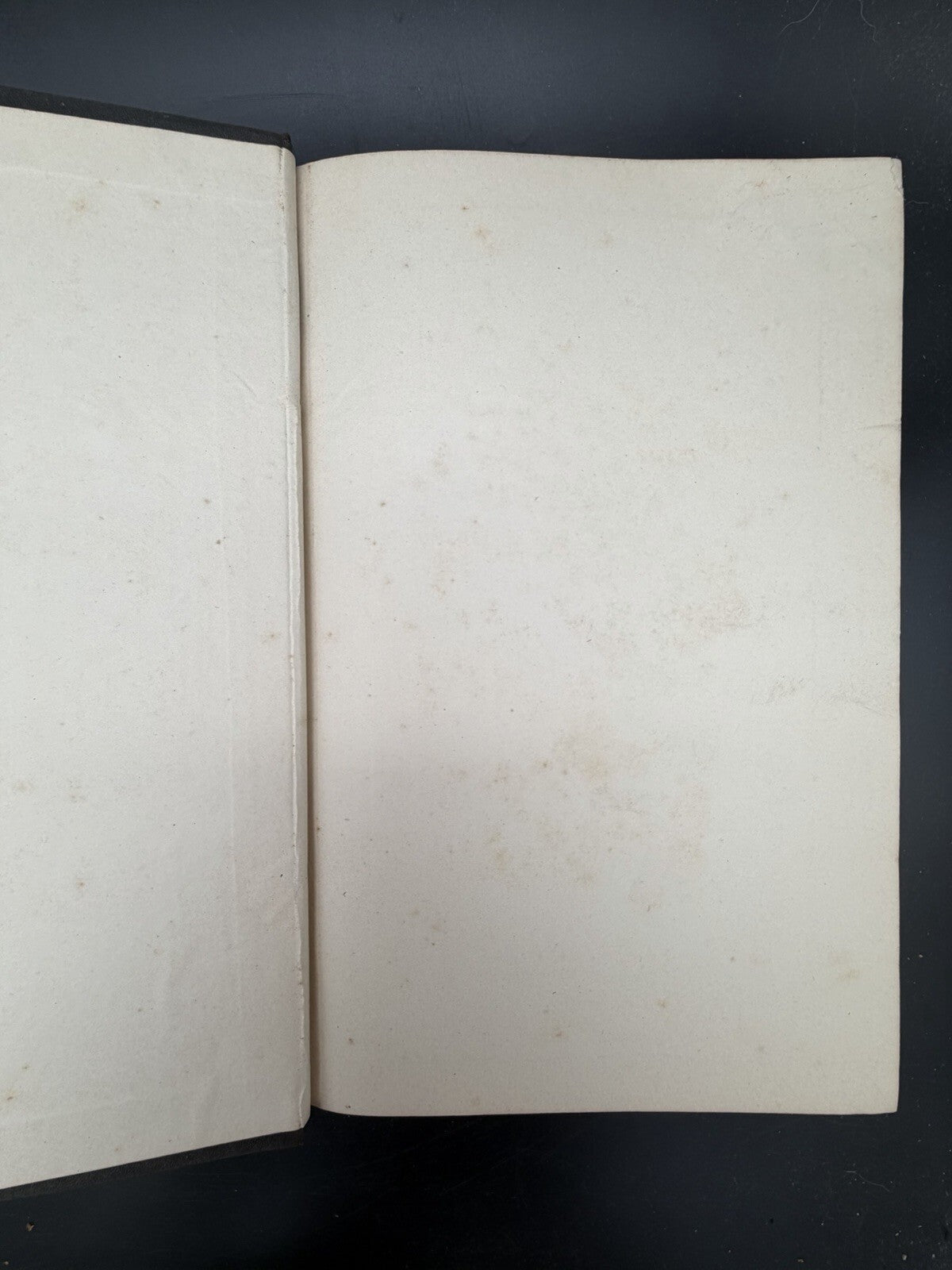 US Department of Agriculture Diseases of The Horse 1890 illustrated