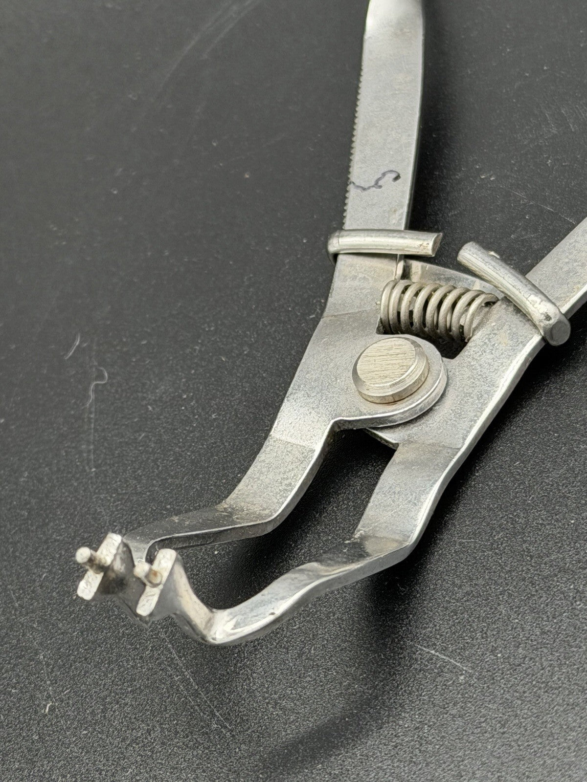 Vintage Ivory Dental Rubber Dam Clamp Forceps Antique Dental Instrument