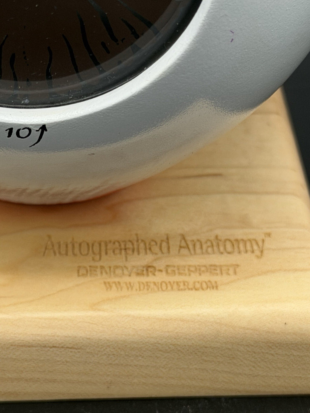 Denoyer-Geppert Autographed Anatomy Oversized Giant Human Eye Model on Base