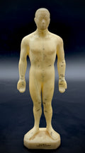 Tam's Tong Ren Acupuncture Model Human Figure 10 Inch TCM Reference Medical