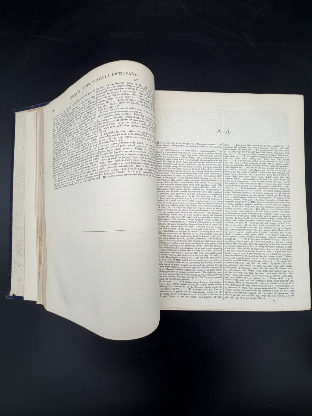 Cleasby & Vigfusson ICELANDIC-ENGLISH DICTIONARY - 1874 1st edn w/ 1876 appendix
